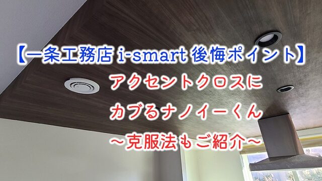 一条工務店 I Smart あるある後悔ポイントをまとめてみた 永久保存版 Part2 りか吉houseblog 一条工務店 I Smartでお家を建てました